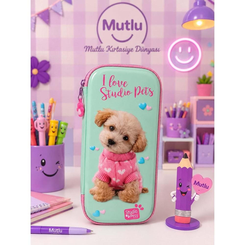 CEM STUDİO PETS EVE KALEM KUTU