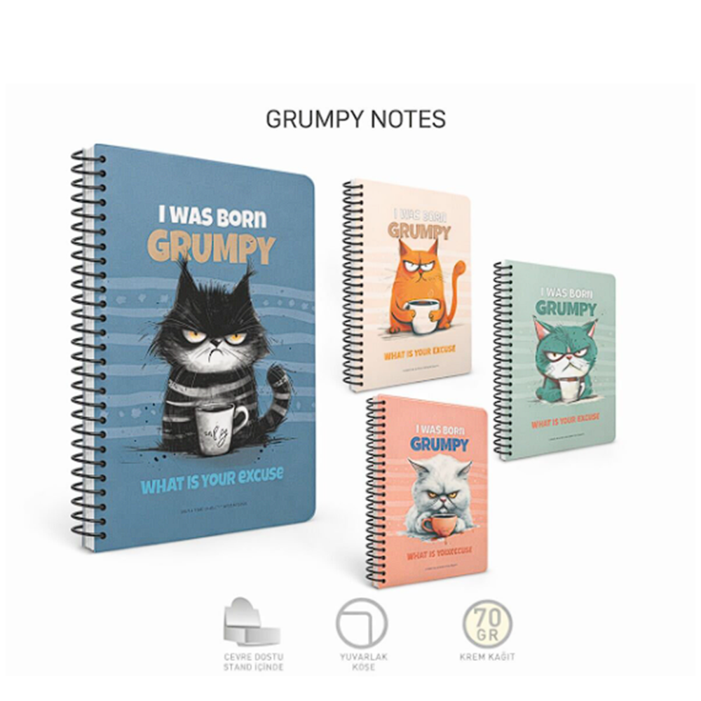GIPTA GRUMPY 80YP ÇİZGİLİ SPİRALLİ KARTON KAPAK OKUL DEFTERİ