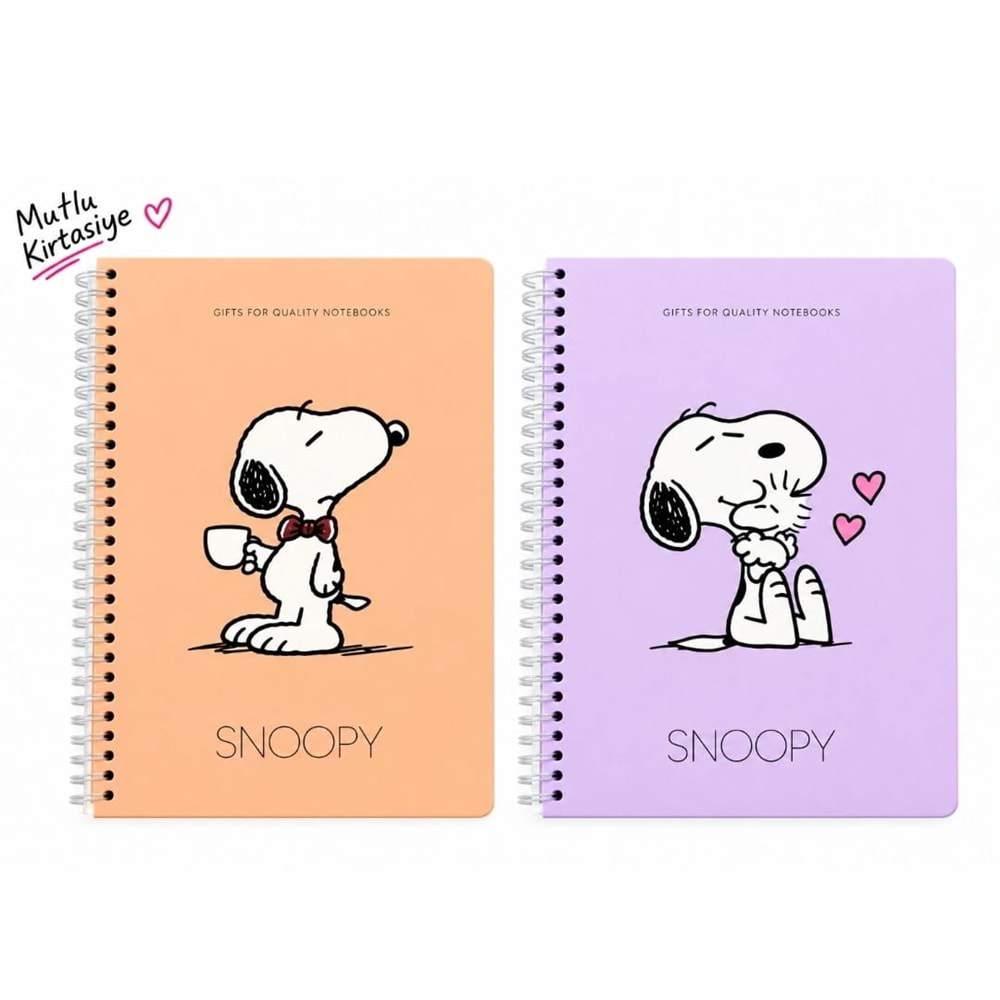 SNOPY DEFTER A4 KARELİ