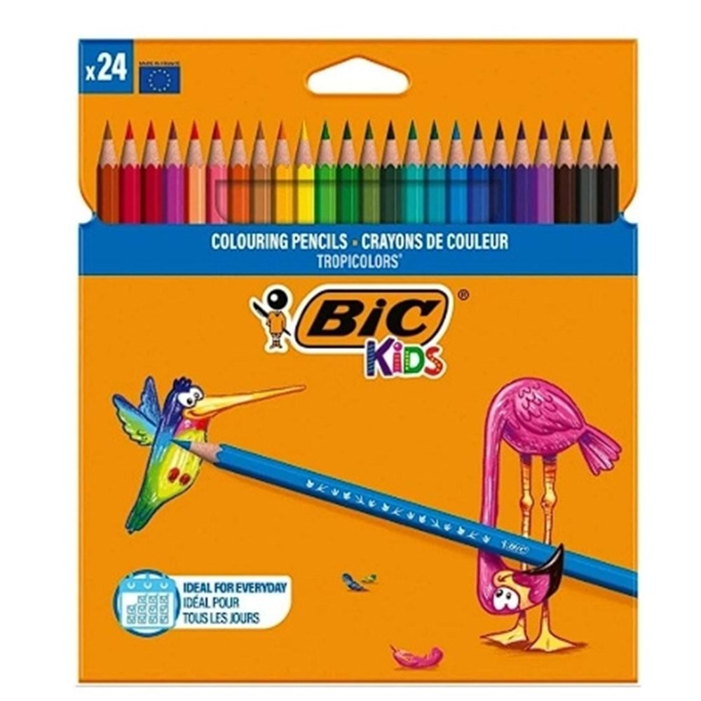 BİC 24 LÜ KURU BOYA
