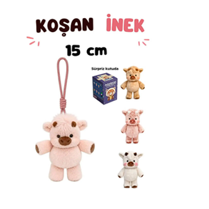 KOŞAN ŞNEK BLİND BOX