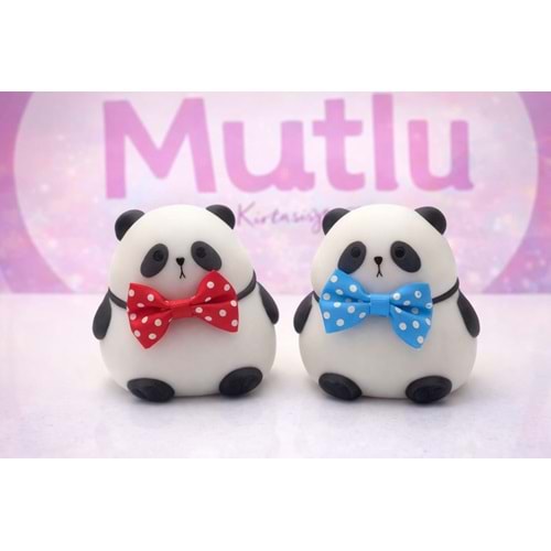 HALLEY PANDA SUKUŞİ