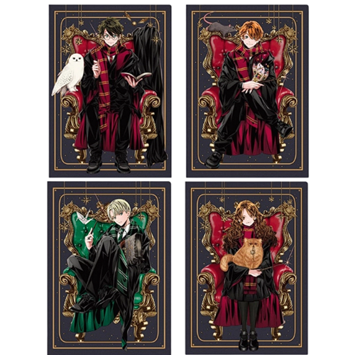 HARRY POTTER 80YP KARELİ
