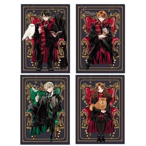 HARYY POTTER 80 KARELİ DEFTER