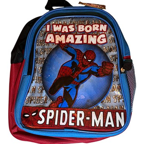 SPİDERMAN LİSANSLI ÇANNTA