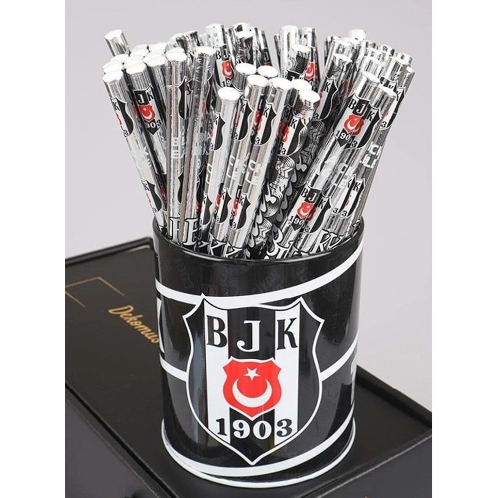 TİMON TARAFTAR KALEM BJK